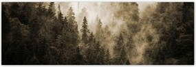 Poszterek 200x66 Tájkép Szépia Hegyek Köd