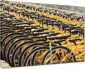 Vászonkép 70x50 Kerékpárok Két kerék
