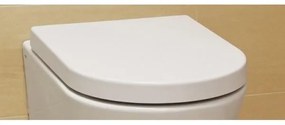AREZZO design INDIANA Soft Close lecsapódásgátlós WC tető AR-ISCBR