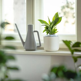 Plastia Tolita önöntöző virágtartó, bézs, átmérő: 19 cm, 19 cm átmérőjű