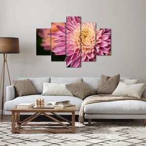 Részletes virágkép (150x105 cm)