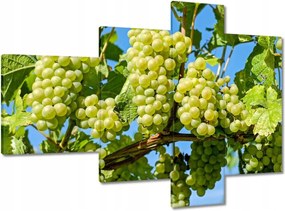 Vászonkép 100x70 Zöld szőlő