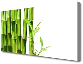 Vászonkép falra bambusz növény 100x50 cm