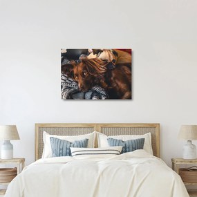 Egy kép fekvő kutyákról (üvegen) (70x50 cm)
