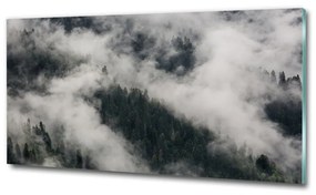 Üvegfotó Köd az erdőben osh-92103415