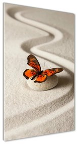 Akrilkép Zen kő és pillangó oav-105886017