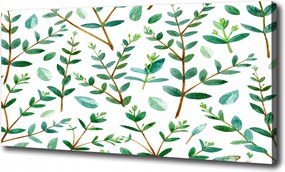 Canvas falikép Eukaliptusz 100x70 cm