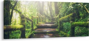 Kép - falépcsők az erdőben (120x50 cm)