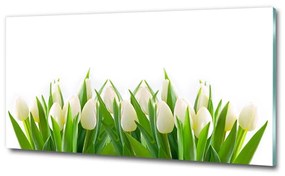 Egyedi üvegkép Fehér tulipán osh-30153186