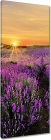 Vászonkép 40x100 Levendula naplemente