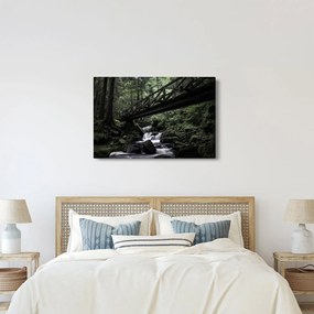Fekete erdő képe (90x60 cm)