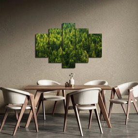 Kép - sűrű erdő (150x105 cm)