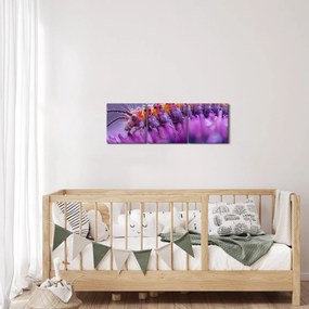 Kép - Caterpillar (órával) (90x30 cm)