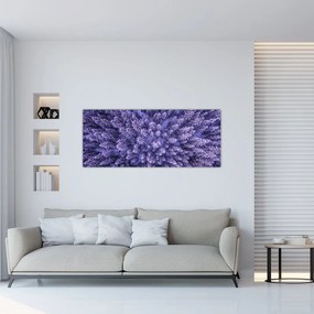 Havas fák képe (120x50 cm)