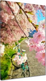 Vászonkép 80x120 Kerékpáros túra