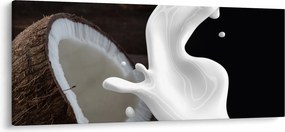 Kép - kókusz tej (120x50 cm)