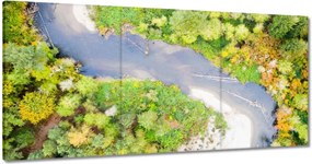 Vászonkép 120x60 Forgó folyó Erdő Ősz