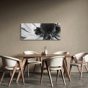 Kép - Virág fekete-fehérben (120x50 cm)