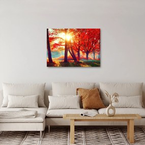 Kép - Őszi táj (70x50 cm)