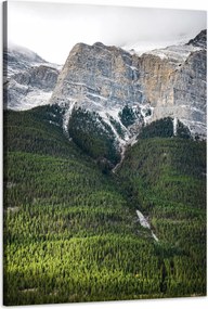 Vászonkép Canvas Natura Kilátás a hegyekre Erdő 60x90 cm