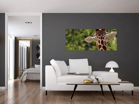 A zsiráf képe hátulról (120x50 cm)