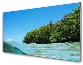 Fali üvegkép Sea fa táj 125x50 cm