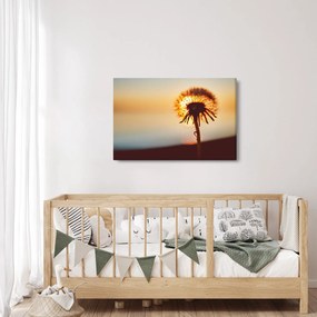Egy pitypang képe naplementekor (90x60 cm)