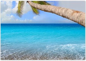 Poszterek 100x70 Pálmafák az óceán felett