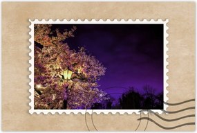 Poszterek 60x40 Éjszakai motívum a nappaliba