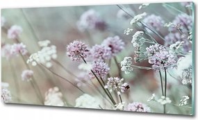 Fotó vászonkép edzett üveg Orchidea 100x70