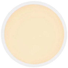 Globo 41562-24W - LED Fürdőszobai mennyezeti lámpa SAPANA LED/24W/230V IP44