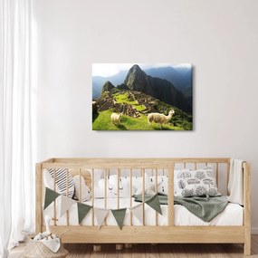 Kép - Lámák Machu Picchuban (90x60 cm)