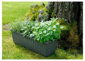 Siesta antracitszürke önöntöző virágláda, hosszúság 80 cm - Plastia