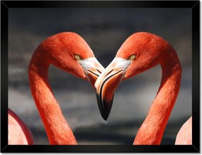 Poszterek keretben 40x30 Szerelmes pelikánok