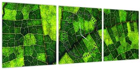 Kép - A lap részlete (órával) (90x30 cm)