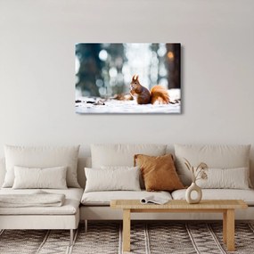 Kép - Mókus (90x60 cm)