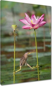 Vászonkép 70x100 Kalapos madár Tájkép Kilátás