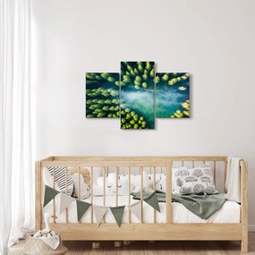 Kép - Egy ködbe burkolt erdő (90x60 cm)