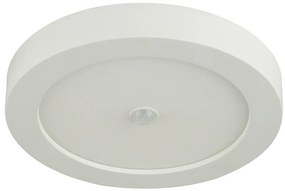 Globo Globo 41605-18S - LED kültéri mennyezeti lámpa PAULA érzékelővel 1xLED / 18W / 230V GL4846