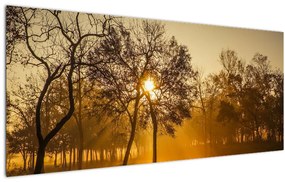 Napkelte kép (120x50 cm)