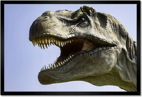 Poszterek keretben 60x40 Tyrannosaurus portré