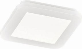 TRIO R62931001 CAMILLUS Négyzetes Mennyezeti Lámpa Fehér LED IP20