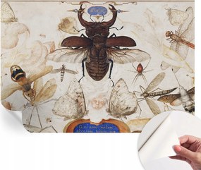 Öntapadós fotótapéta Falra 3D Loft Természetes harmónia 152x104 cm