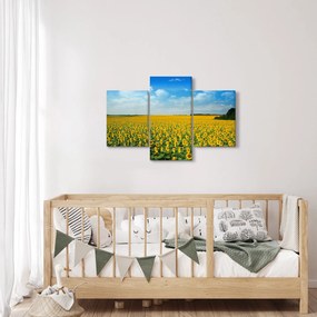 Kép - napraforgó (90x60 cm)