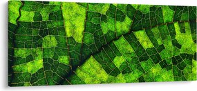 Kép - A lap részlete (120x50 cm)
