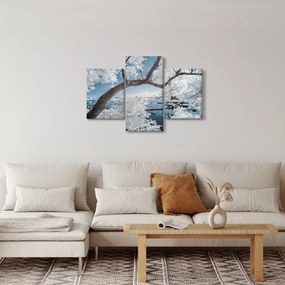 A víz mellett egy havas fa képe (90x60 cm)