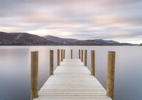 Poszter 84,1x59,4cm, Assaf Frank