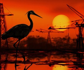 Poszter 60x50cm Alkonyat Ipari Daru