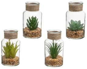 Műnövény szett 4 db-os (magasság 12 cm) Cactus – Casa Selección