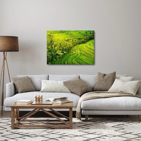 Kép - Rizs teraszok (70x50 cm)